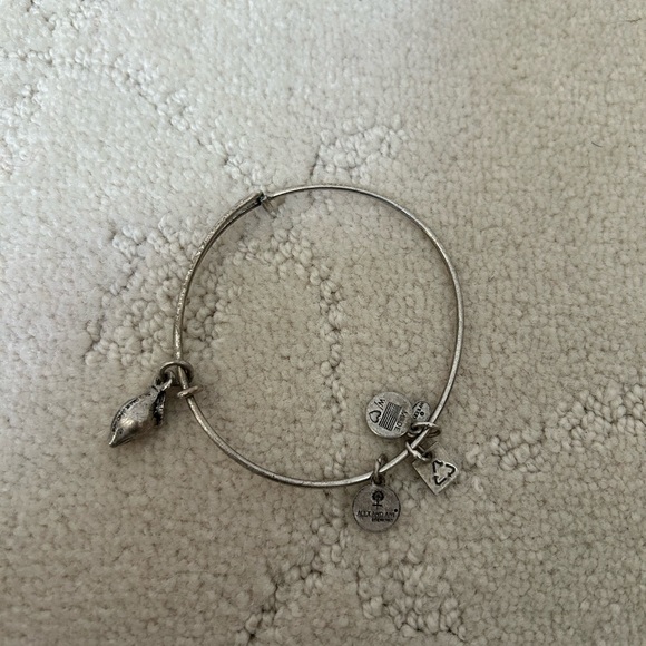 Alex and Ani | Silver Color Charm Bracelet | Zest For Life - Lemon Summer - Picture 1 of 5